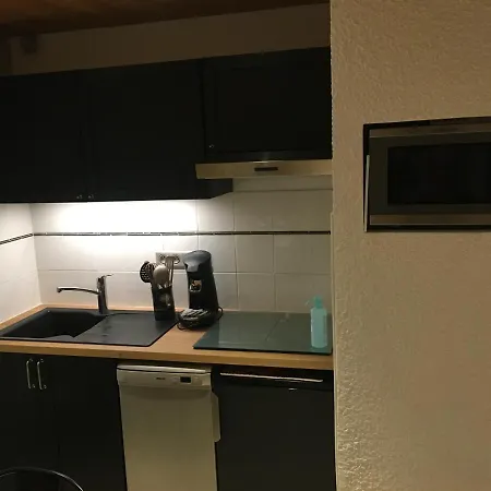 Les Deux Alpes, Le Lauvitel, Cosy, Pied Des Pistes, 2 Adultes 2 Enfants